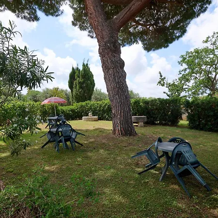 Gospodarstwo agroturystyczne Antichi Palmenti - Mirto San Vincenzo